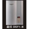 DSF1-B