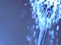 哈博电热水器视频广告 (1500播放)