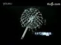 爱尔氏快热式（净化）电热水器 (2277播放)