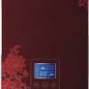 DSZF-D中国红 即热式电热水器