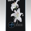 即热式电热水器HBK-C（百合花）