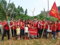 联创党员义工参加创新深圳绿色家园植树活动